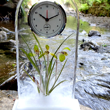 レジンにシュンランのアメージングドライフラワーを封入したレジンフラワーの置時計の画像