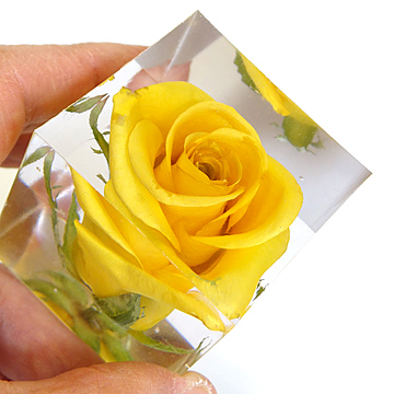 レジンに黄色いバラのアメージングドライフラワーを封入したキューブ型のレジン作品の画像