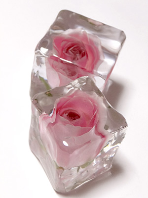 レジンにピンクのバラの花のアメージングドライフラワーを固めた作品を2017年に撮影した画像