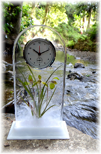 山野草シュンランの花と葉をドライフラワーをレジンで固めて作った置時計