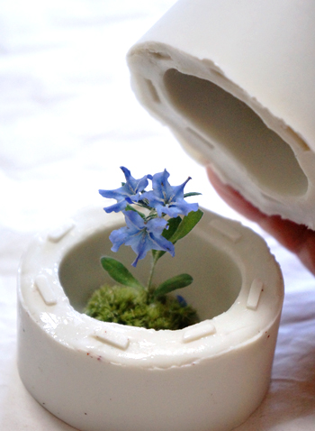 野の花のホタルカズラのアメージングドライフラワーを両面シリコンモールドでレジンに固めようとしている作業画像